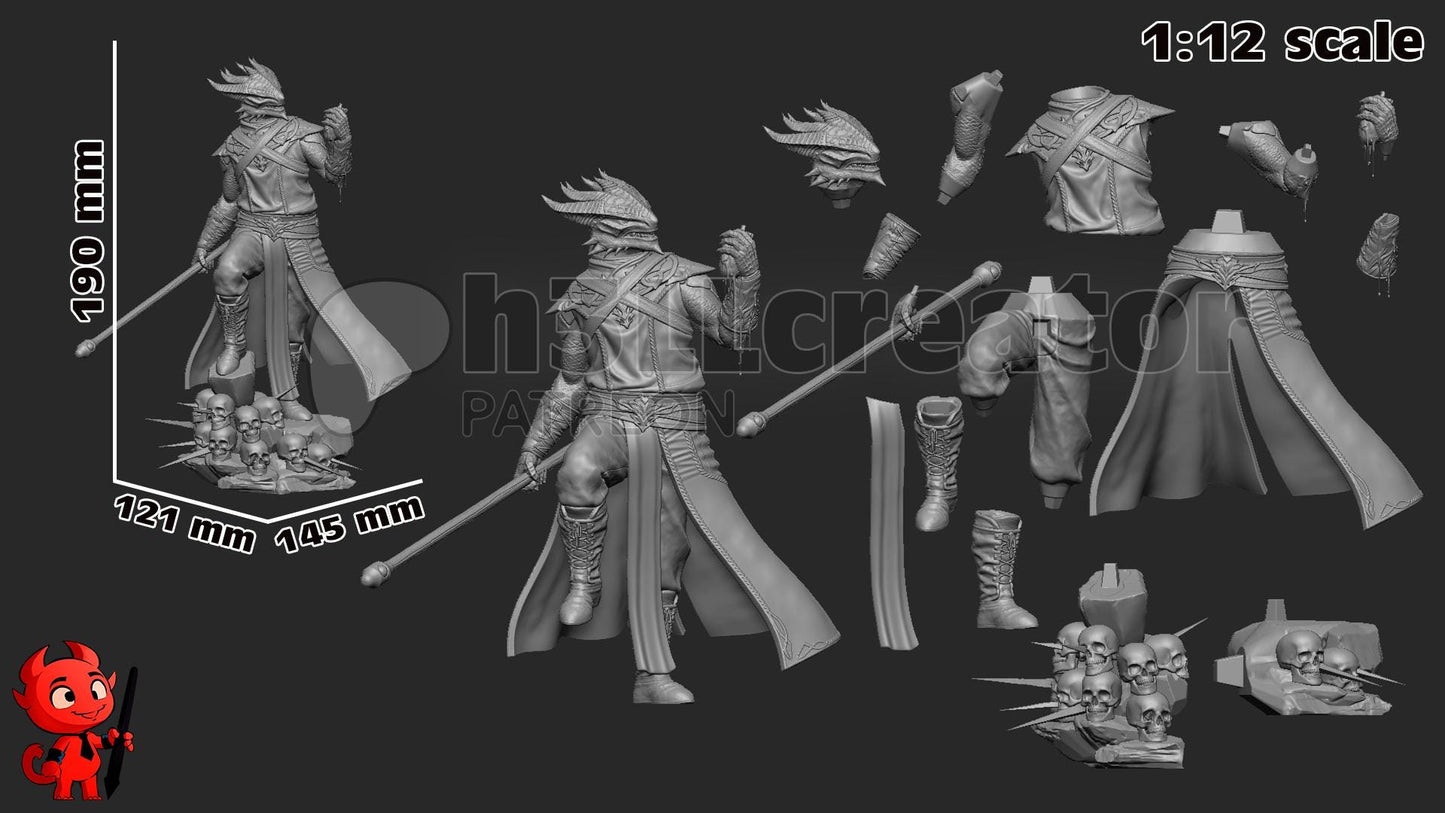 Dark Urge (Unpainted) | Baldur’s Gate 3 | 1:12 Scale | Resin 3d printed Model | DIY kit